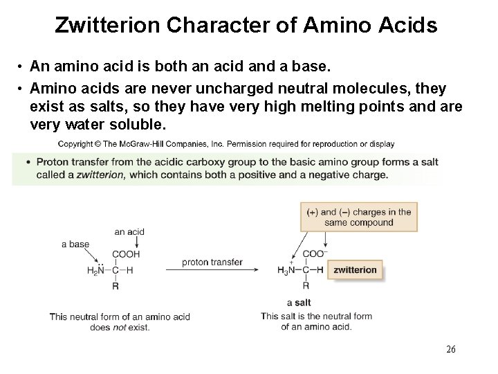 Zwitterion Character of Amino Acids • An amino acid is both an acid and
