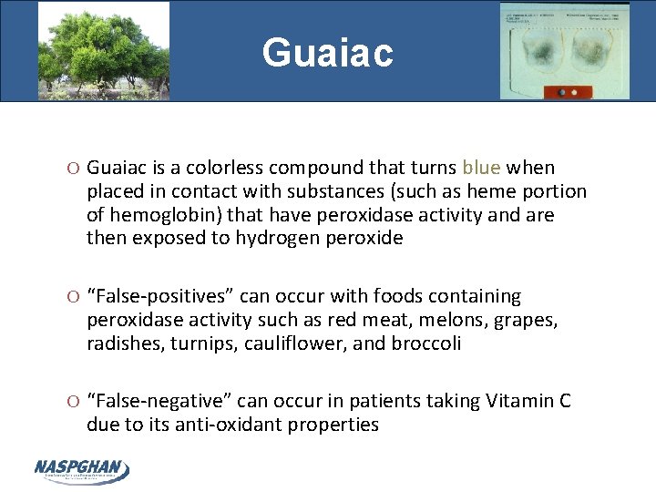 Guaiac O Guaiac is a colorless compound that turns blue when placed in contact