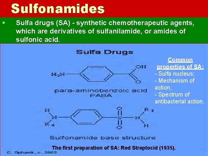 Sulfonamides § Sulfa drugs (SA) - synthetic chemotherapeutic agents, which are derivatives of sulfanilamide,