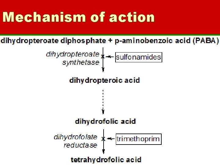 Mechanism of action 