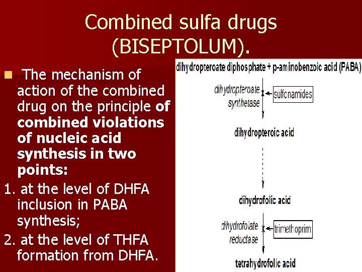 Combined sulfa drugs (BISEPTOLUM). n The mechanism of action of the combined drug on