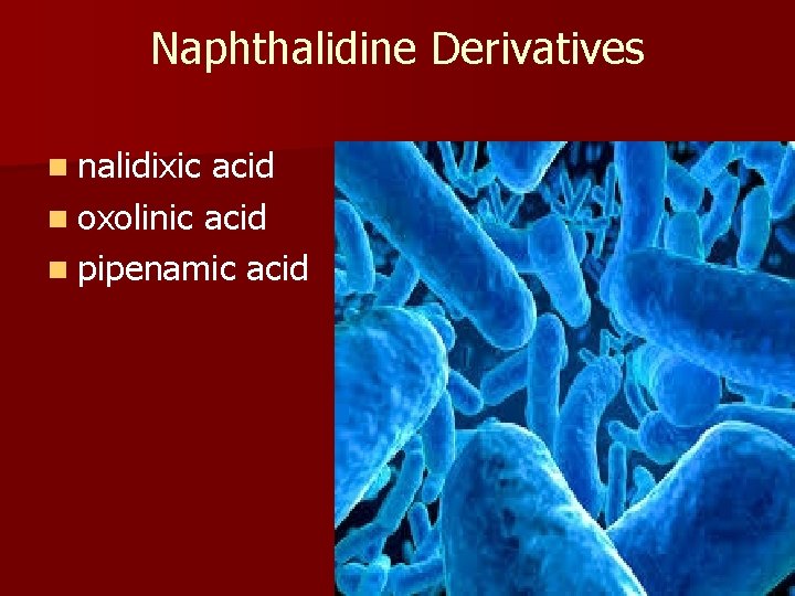 Naphthalidine Derivatives n nalidixic acid n oxolinic acid n pipenamic acid 