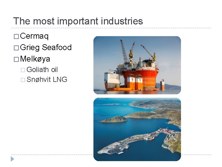 The most important industries � Cermaq � Grieg Seafood � Melkøya � Goliath oil
