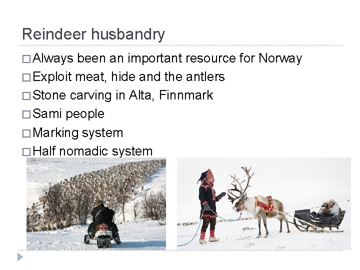 Reindeer husbandry � Always been an important resource for Norway � Exploit meat, hide
