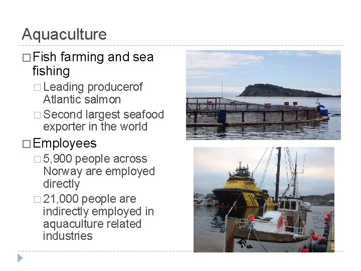 Aquaculture � Fish farming and sea fishing � Leading producerof Atlantic salmon � Second