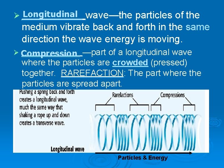 Longitudinal wave—the particles of the Ø ______ medium vibrate back and forth in the