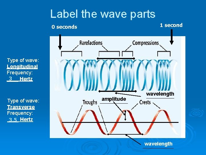 Label the wave parts 1 second 0 seconds Type of wave: Longitudinal Frequency: 3