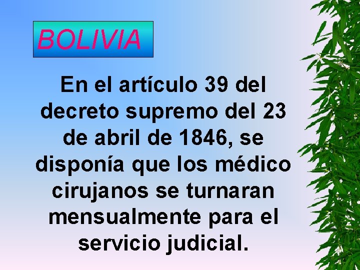 BOLIVIA En el artículo 39 del decreto supremo del 23 de abril de 1846,