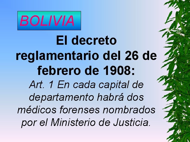 BOLIVIA El decreto reglamentario del 26 de febrero de 1908: Art. 1 En cada