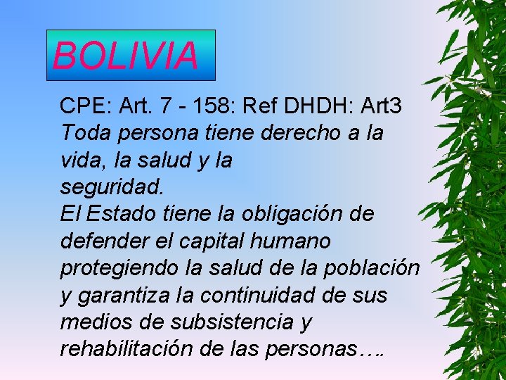 BOLIVIA CPE: Art. 7 - 158: Ref DHDH: Art 3 Toda persona tiene derecho