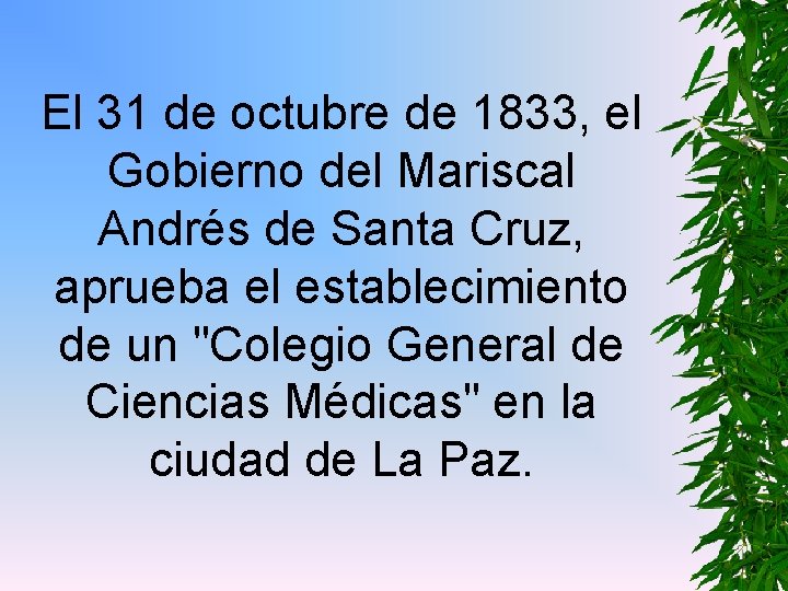 El 31 de octubre de 1833, el Gobierno del Mariscal Andrés de Santa Cruz,