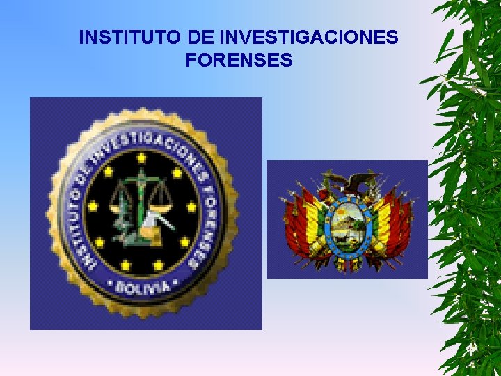 INSTITUTO DE INVESTIGACIONES FORENSES 