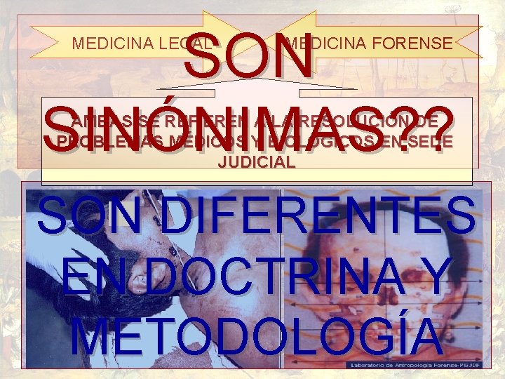 SON SINÓNIMAS? ? MEDICINA LEGAL MEDICINA FORENSE AMBAS SE REFIEREN A LA RESOLUCIÓN DE