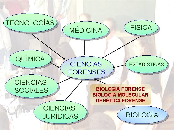 TECNOLOGÍAS MÉDICINA QUÍMICA CIENCIAS FORENSES CIENCIAS SOCIALES CIENCIAS JURÍDICAS FÍSICA ESTADÍSTICAS BIOLOGÍA FORENSE BIOLOGÍA