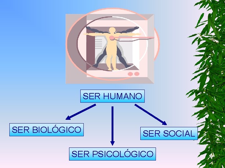 SER HUMANO SER BIOLÓGICO SER SOCIAL SER PSICOLÓGICO 