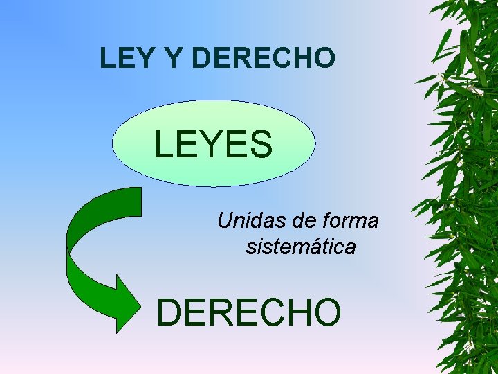 LEY Y DERECHO LEYES Unidas de forma sistemática DERECHO 