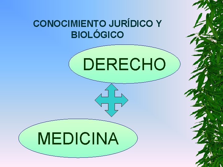 CONOCIMIENTO JURÍDICO Y BIOLÓGICO DERECHO MEDICINA 