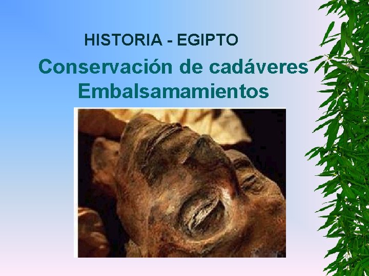 HISTORIA - EGIPTO Conservación de cadáveres Embalsamamientos 