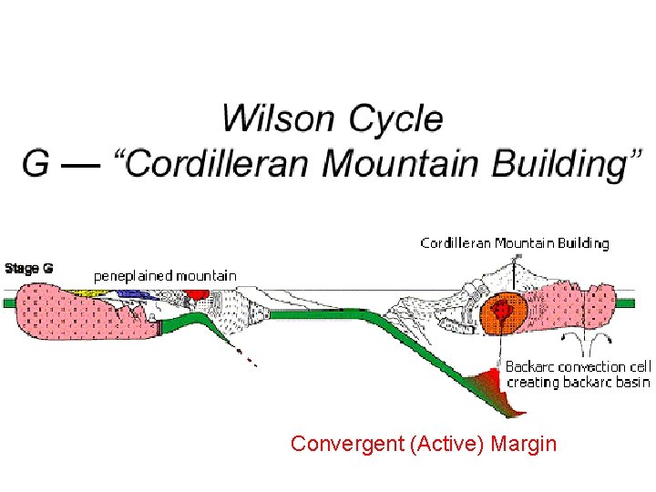 Convergent (Active) Margin 