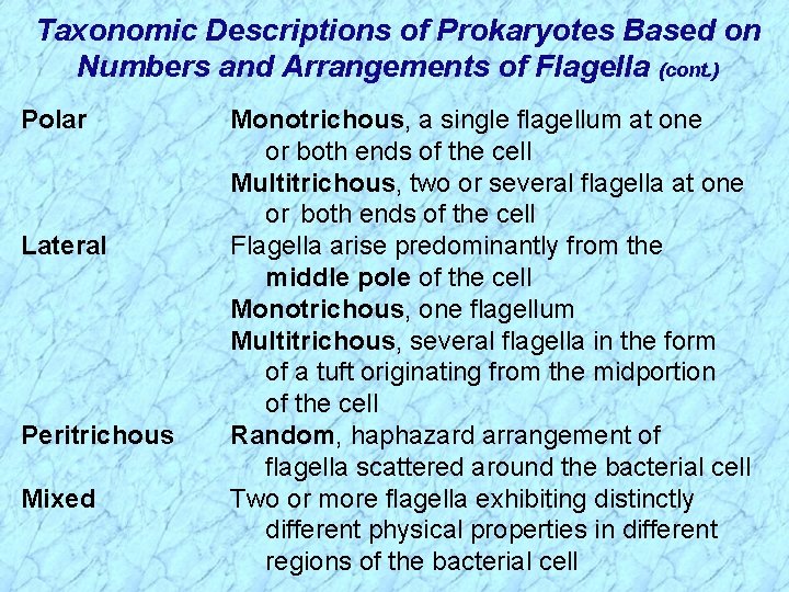 Taxonomic Descriptions of Prokaryotes Based on Numbers and Arrangements of Flagella (cont. ) Polar