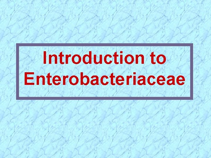 Introduction to Enterobacteriaceae 