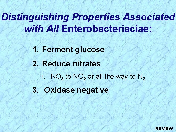 Distinguishing Properties Associated with All Enterobacteriaciae: 1. Ferment glucose 2. Reduce nitrates 1. NO