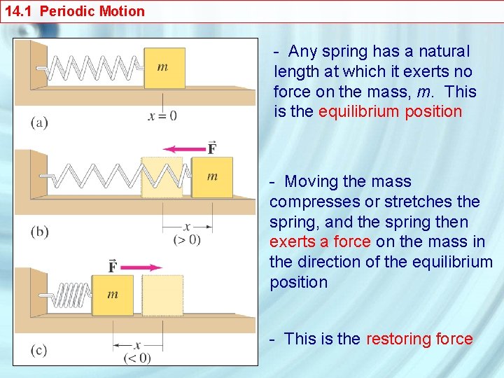 14. 1 Periodic Motion - Any spring has a natural length at which it