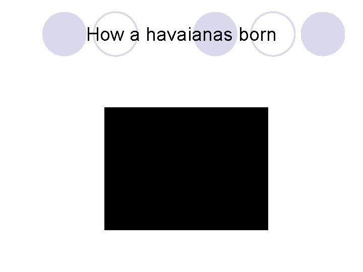 How a havaianas born 