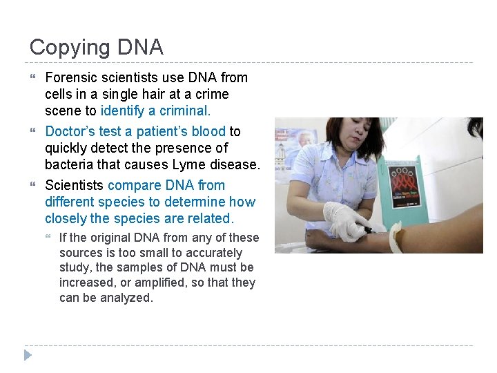 Copying DNA Forensic scientists use DNA from cells in a single hair at a