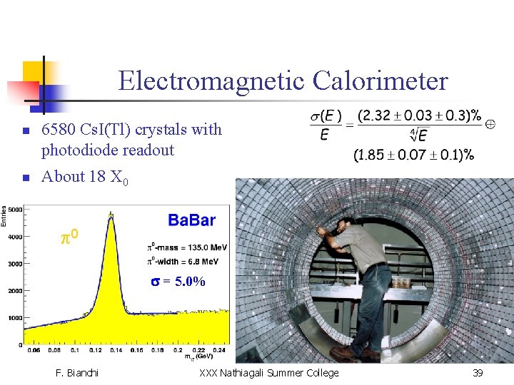 Electromagnetic Calorimeter n n 6580 Cs. I(Tl) crystals with photodiode readout About 18 X