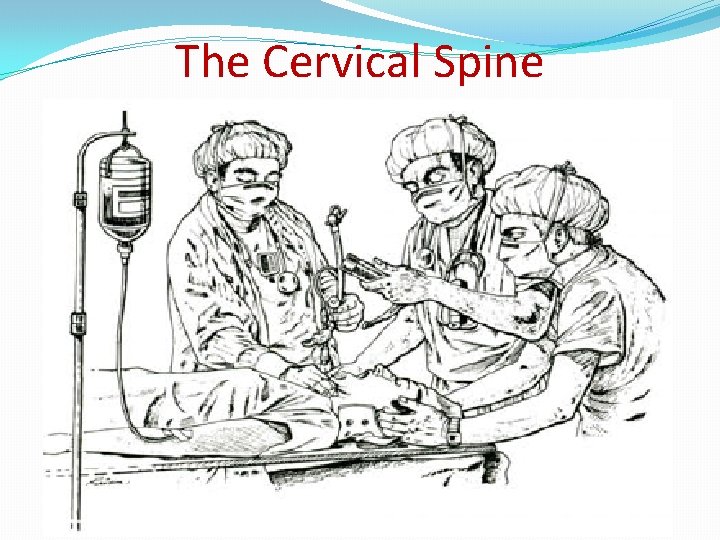 The Cervical Spine 