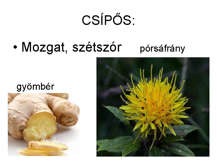 CSÍPŐS: • Mozgat, szétszór gyömbér pórsáfrány 