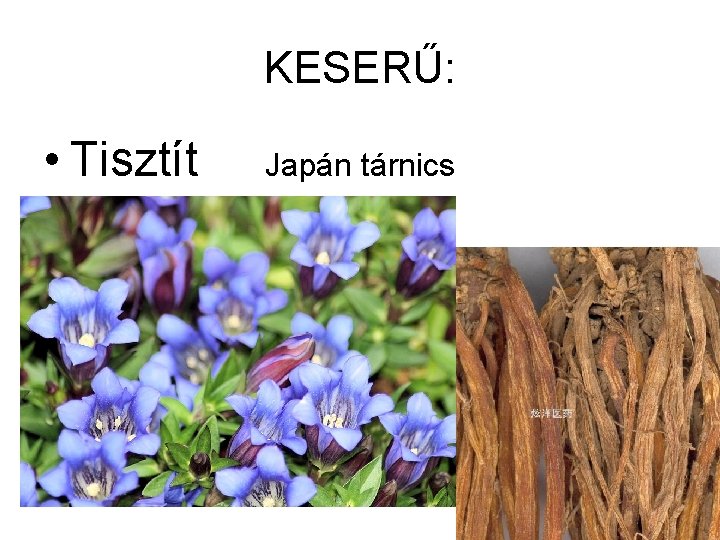 KESERŰ: • Tisztít Japán tárnics 