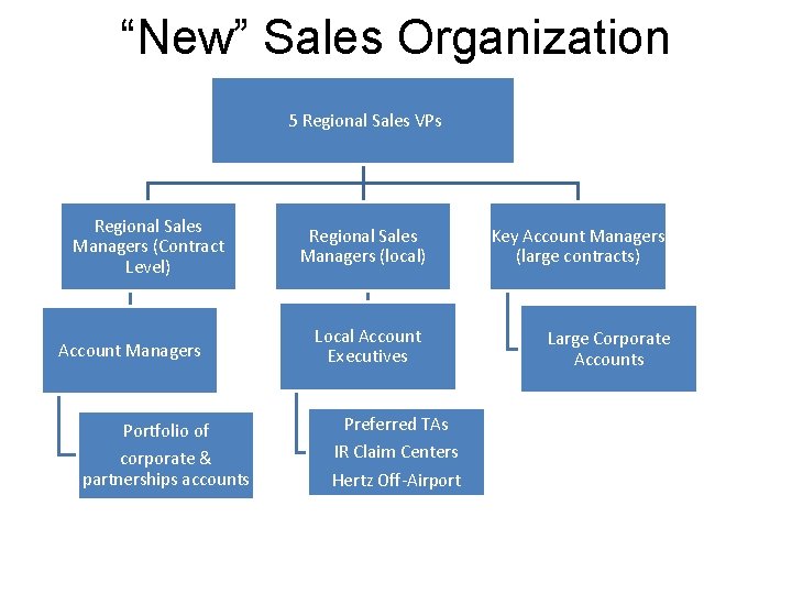 “New” Sales Organization 5 Regional Sales VPs Regional Sales Managers (Contract Level) Account Managers