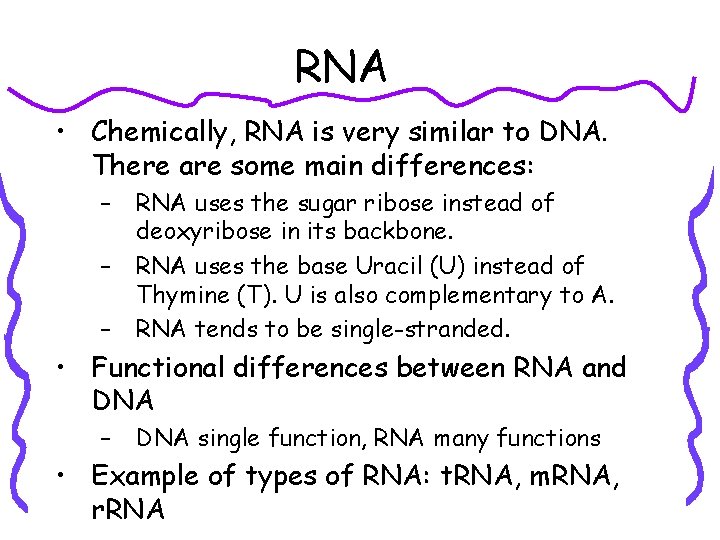 RNA • Chemically, RNA is very similar to DNA. There are some main differences: