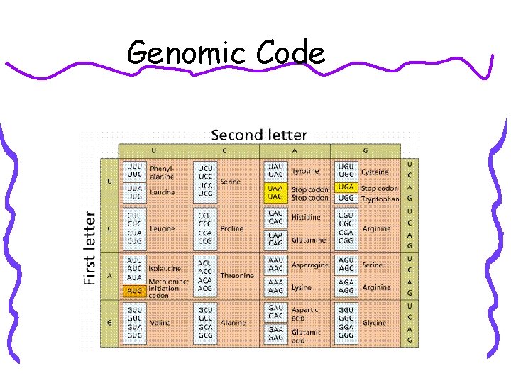 Genomic Code 