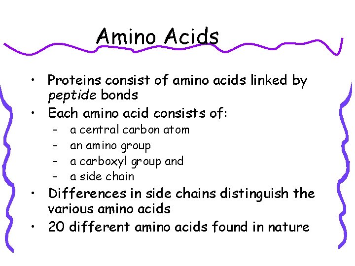 Amino Acids • Proteins consist of amino acids linked by peptide bonds • Each