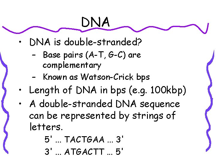 DNA • DNA is double-stranded? – Base pairs (A-T, G-C) are complementary – Known