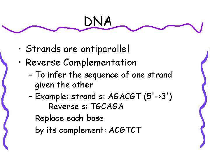 DNA • Strands are antiparallel • Reverse Complementation – To infer the sequence of