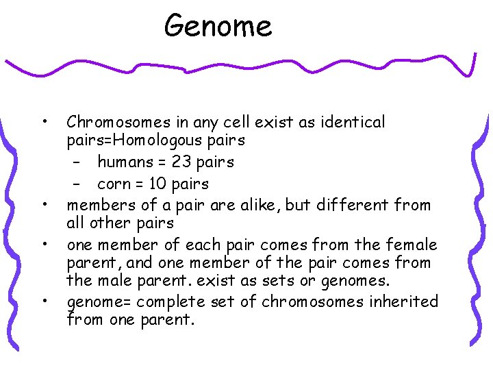 Genome • • Chromosomes in any cell exist as identical pairs=Homologous pairs – humans