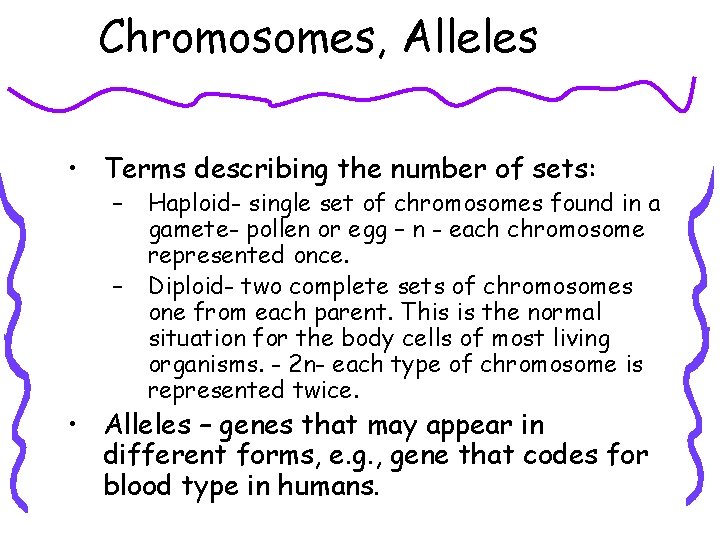 Chromosomes, Alleles • Terms describing the number of sets: – – Haploid- single set