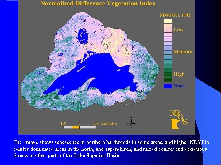 The image shows senescence in northern hardwoods in some areas, and higher NDVI in