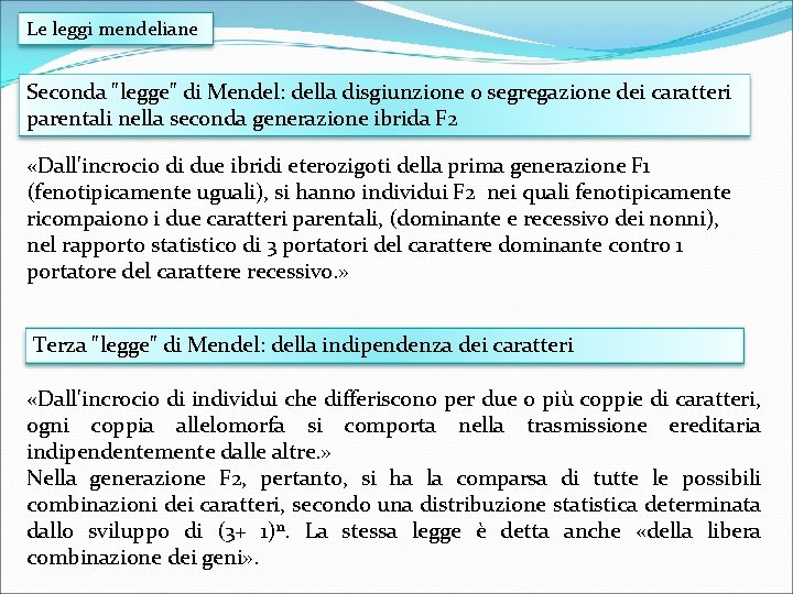 Le leggi mendeliane Seconda "legge" di Mendel: della disgiunzione o segregazione dei caratteri parentali