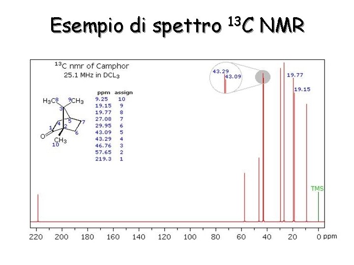 Esempio di spettro 13 C NMR 