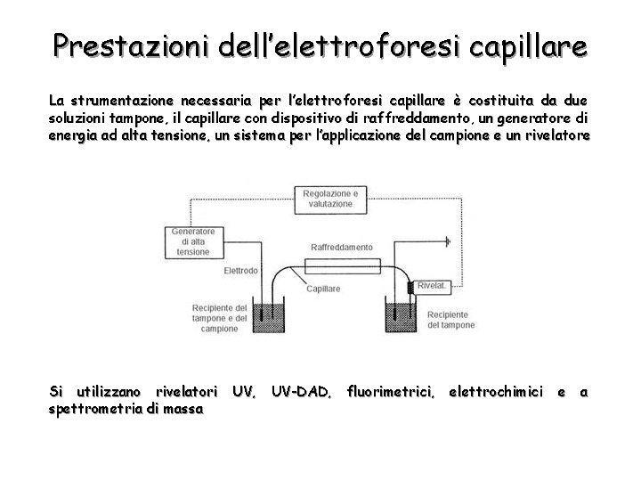 Prestazioni dell’elettroforesi capillare La strumentazione necessaria per l’elettroforesi capillare è costituita da due soluzioni