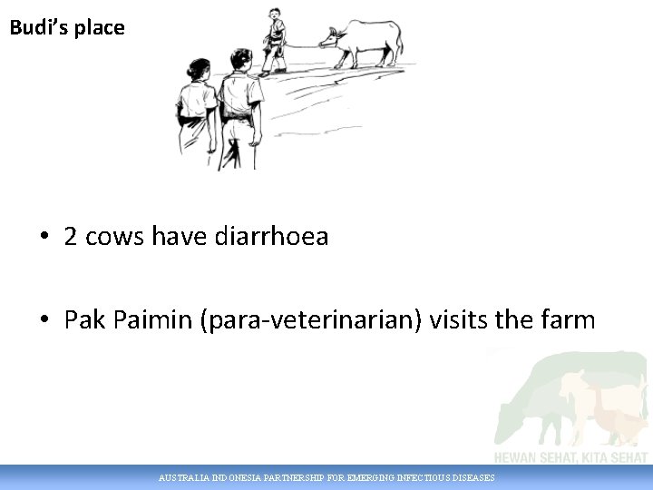 Budi’s place • 2 cows have diarrhoea • Pak Paimin (para-veterinarian) visits the farm