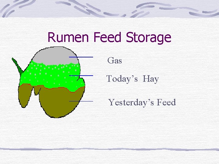 Rumen Feed Storage Gas Today’s Hay Yesterday’s Feed 
