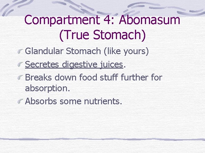 Compartment 4: Abomasum (True Stomach) Glandular Stomach (like yours) Secretes digestive juices. Breaks down