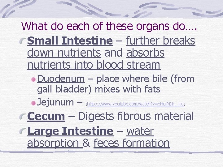 What do each of these organs do…. Small Intestine – further breaks down nutrients