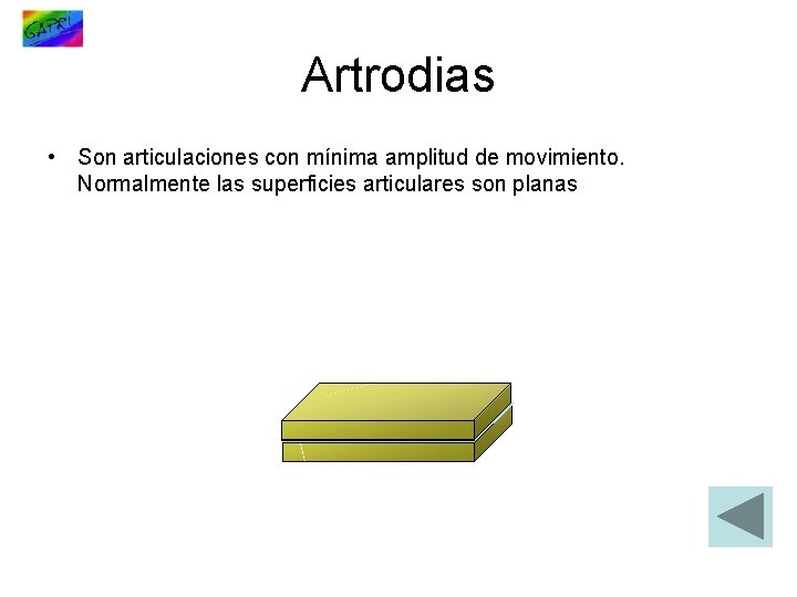 Artrodias • Son articulaciones con mínima amplitud de movimiento. Normalmente las superficies articulares son